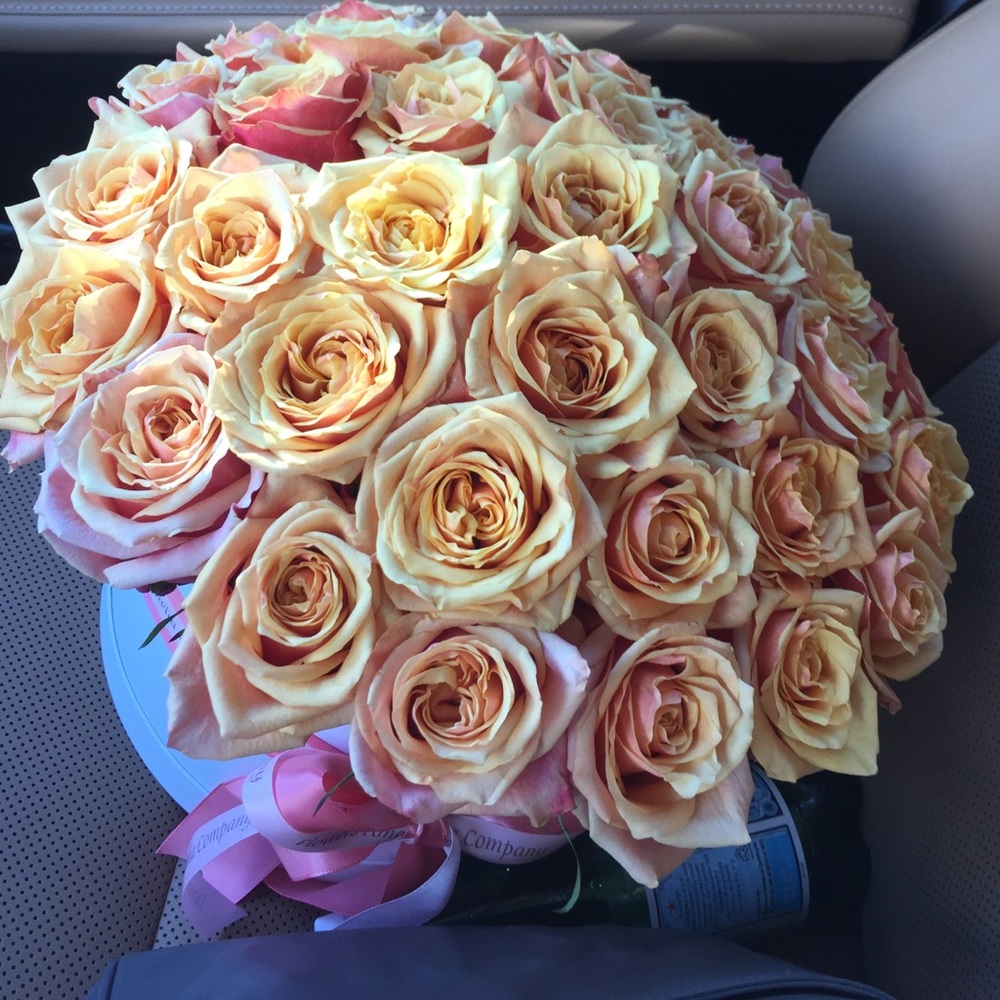 Meet your Posher, Katerina